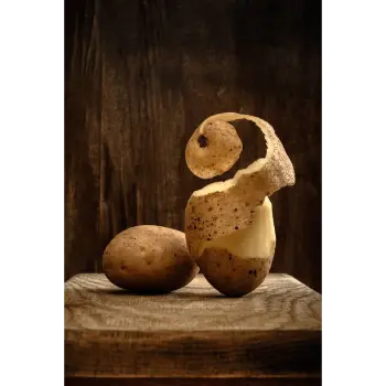potato (19)-4083282-78296.webp